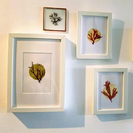 게스트하우스 Lalita Ocean &